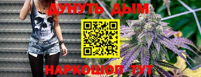 мдпв Жуковский
