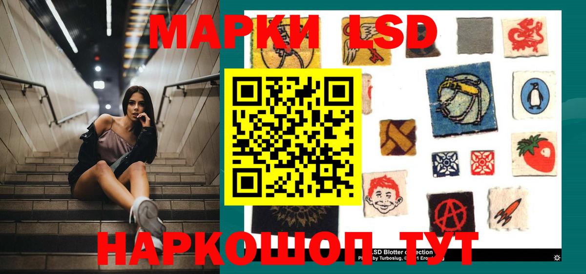 Курчалой  ЛСД экстази кислота  Лсд 25 экстази кислота  Вход с VPN 