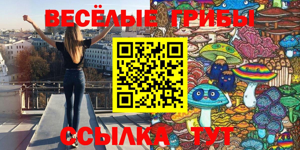 Конопля  ГАШИШ  Вход с VPN  Курчалой  Купить наркотики  МЕФ кристаллы 